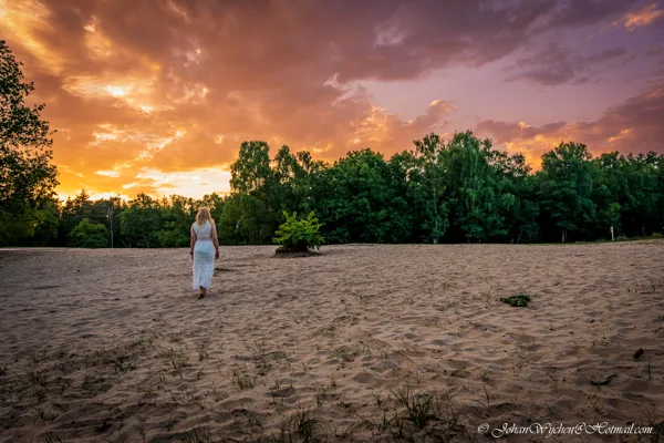 20250613-{@-JohanWijchen}-DSC05916