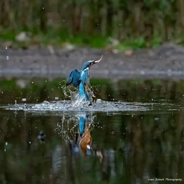 119c75ebc04f489ab1507aedbdde5531_400