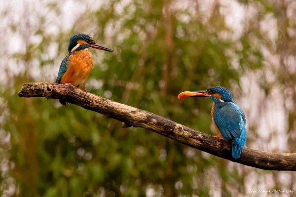 f67ad079f2394f3dbdcfa484f0a3f63b_400