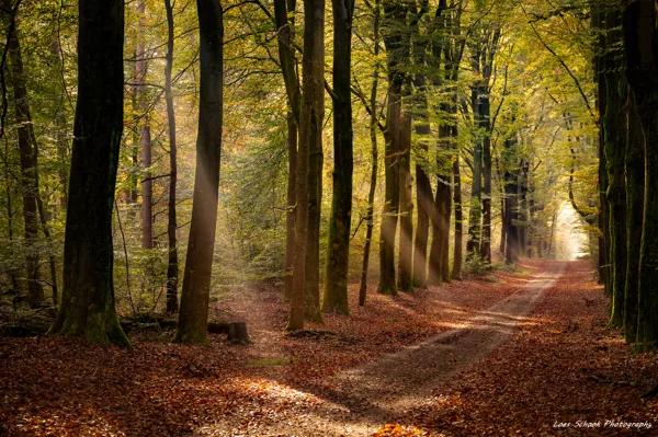 2024-10-26 FCW Heumen 2