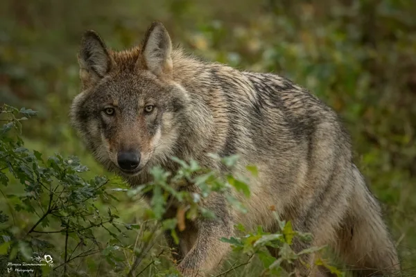 IMGC5782MonicaMonica