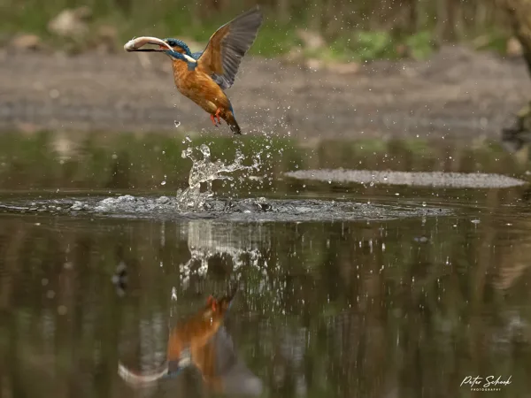 Fotohut RdW - Veendam 20250311-2