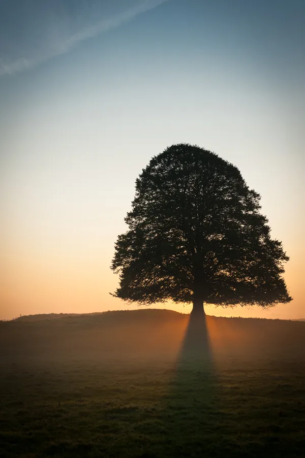 20111001-Echteld-9566