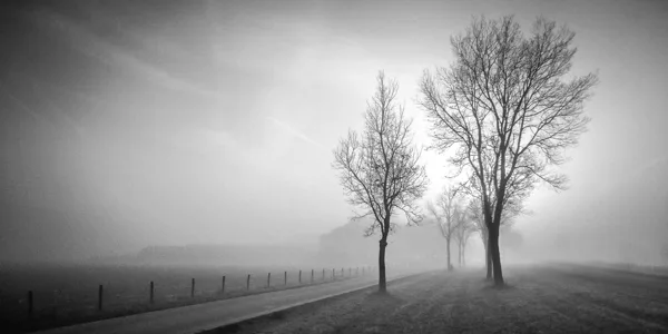 20151102-Herfst-0061-bewerkt