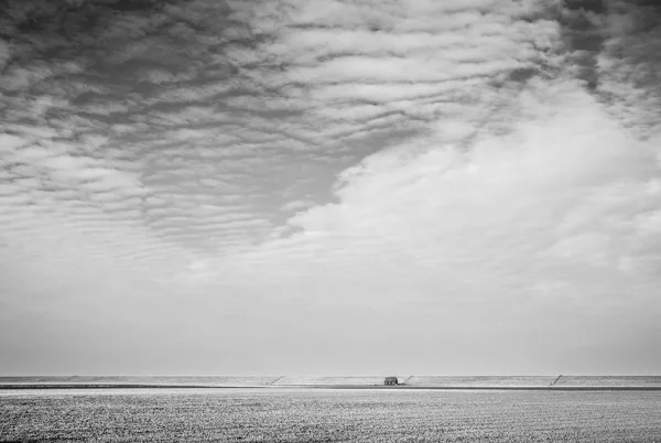 20170202-Westernieland-7097