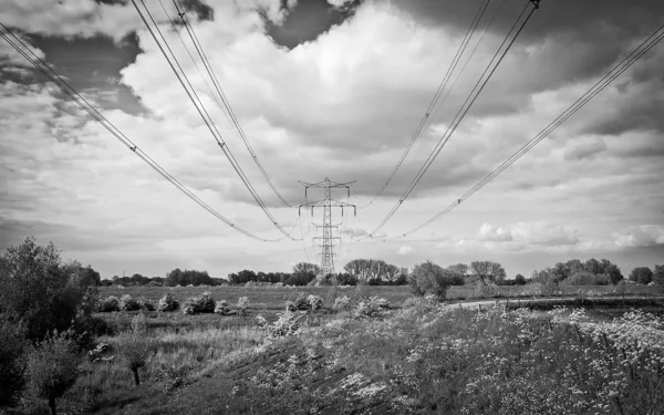 20120513-Natuur-2652