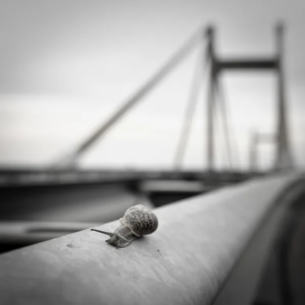 20140427-Willem Alexanderbrug-2466