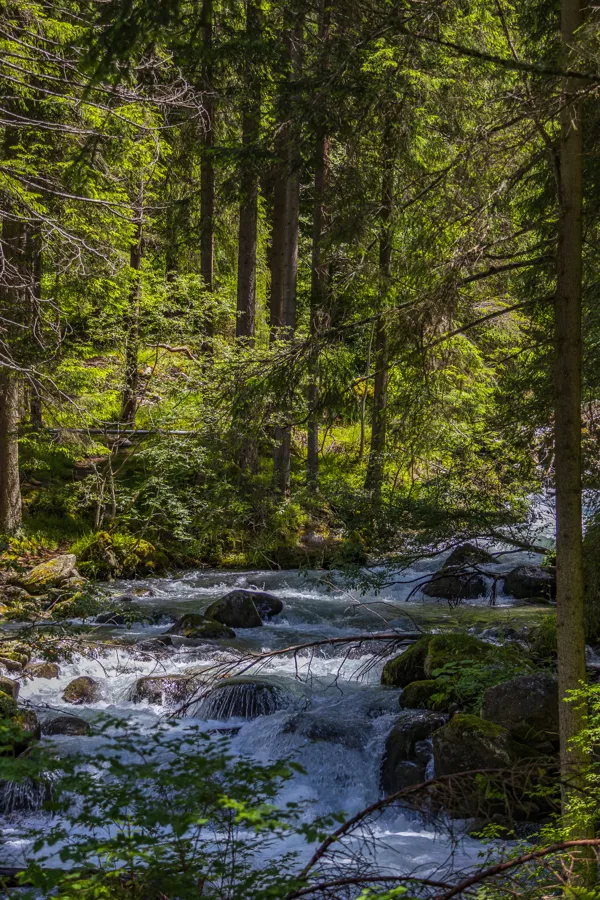 vakantie 202411 (1 van 1)