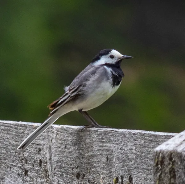 B2807219-C29C-4456-88A6-A5BAE1416426