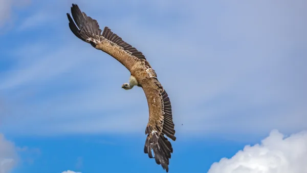 vakantie 202410 (1 van 1)