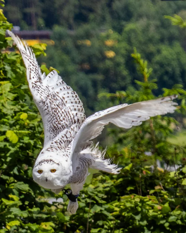 vakantie 20244 (1 van 1)