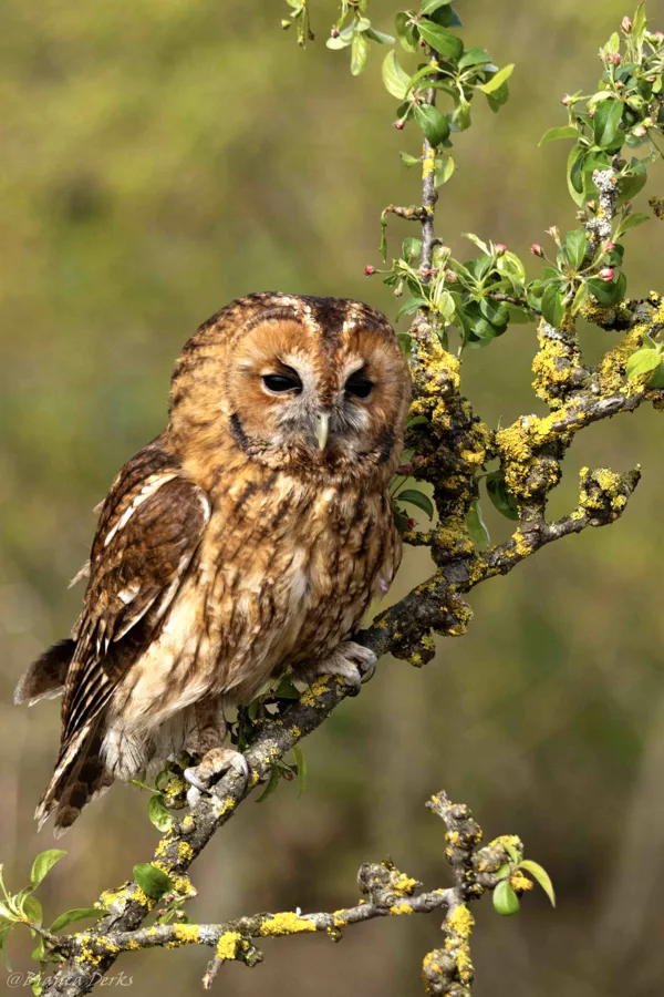 workshop roosmarijn (27 van 1)