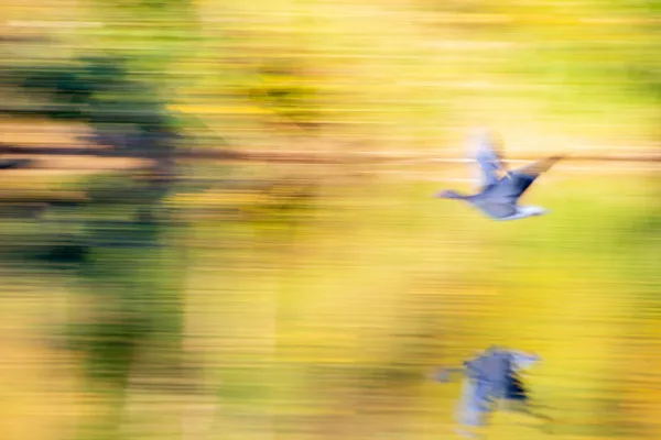 DSC_0094 abstracte natuur fotografie