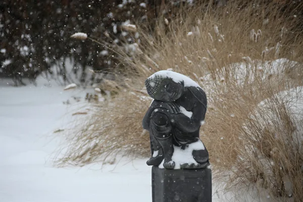 1.DSC_4266  Winter