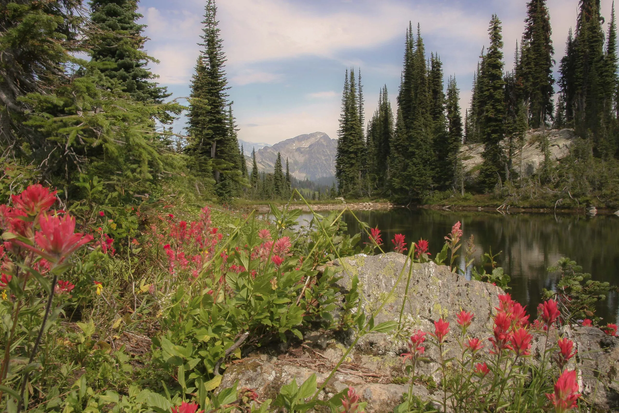 807_0763-2-kees-de-ruiter-scaled