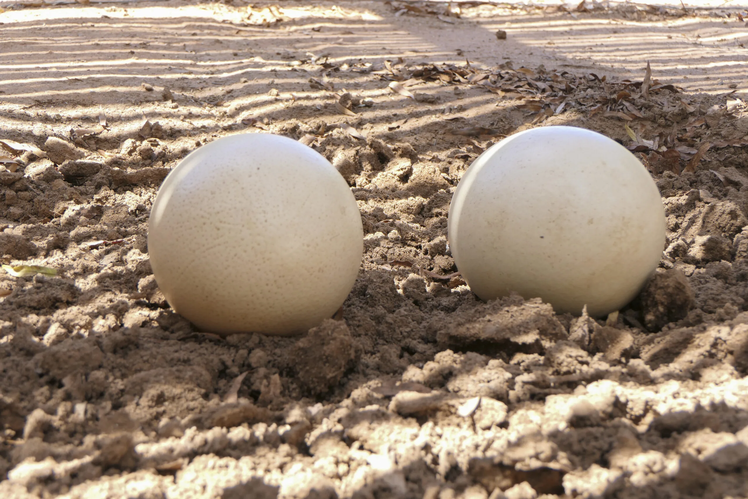 sm-1-2-Sigrid-Martin-scaled