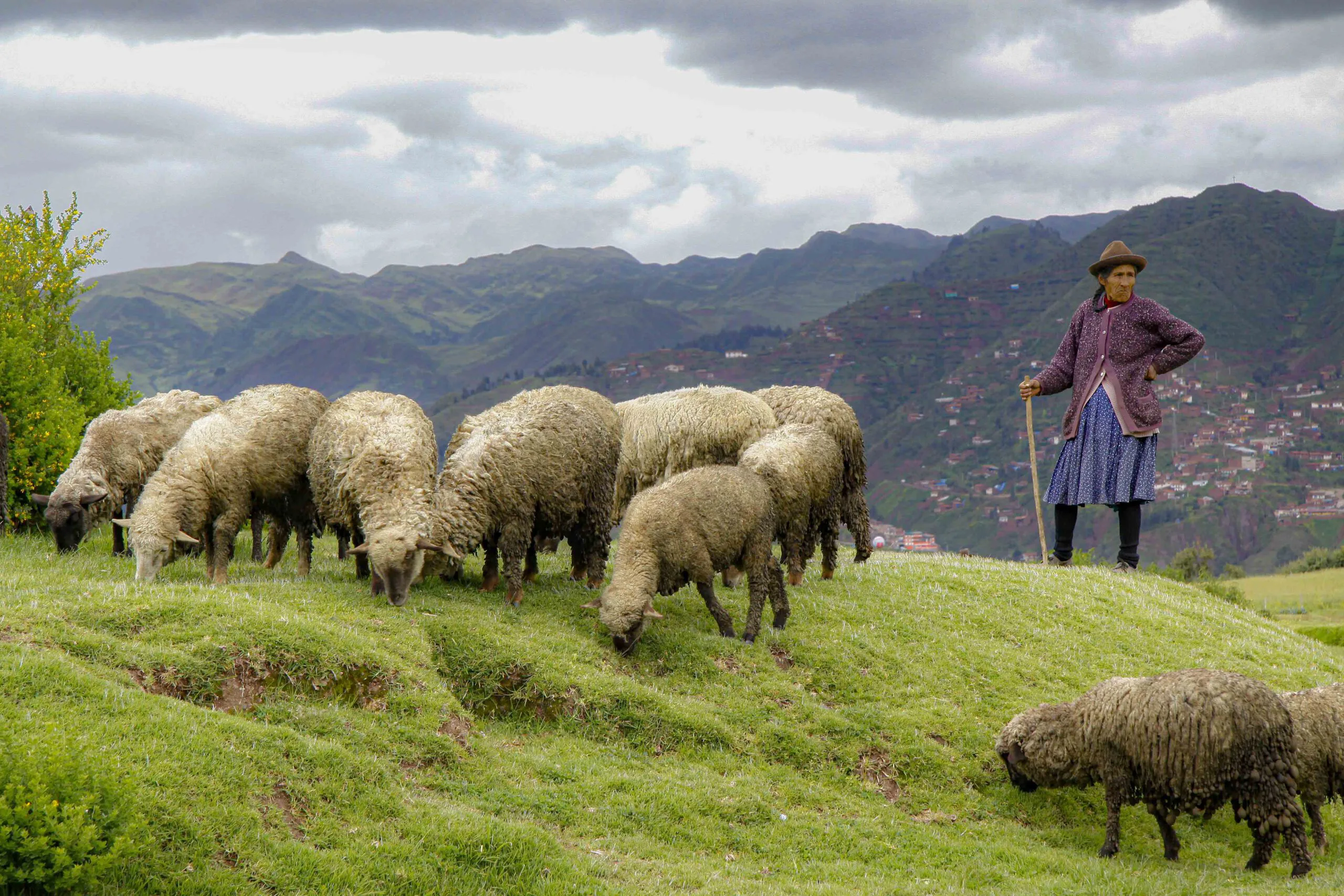 MG_0558-kees-de-ruiter-scaled