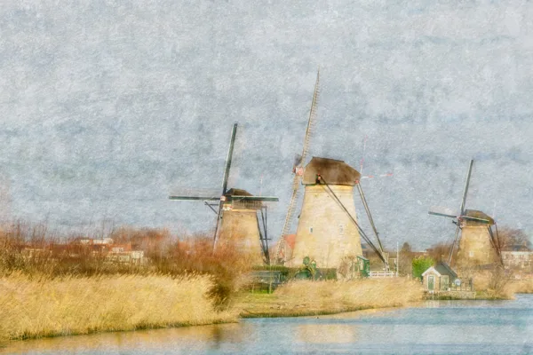 6 Irene Nicaise portfolio