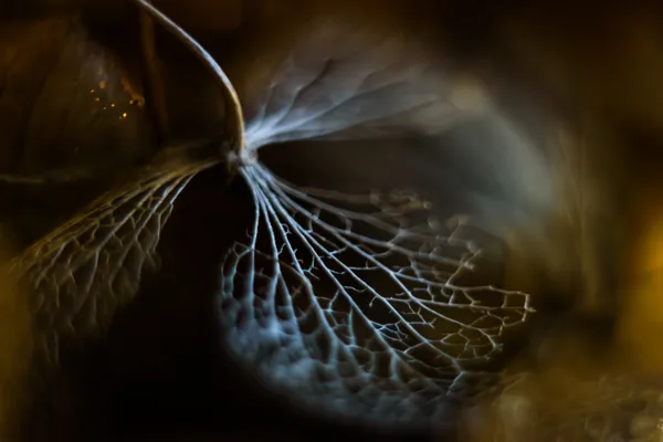 8 Irene Nicaise portfolio