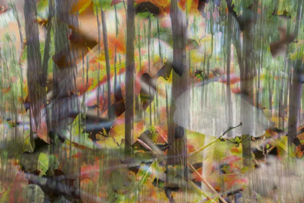 5 Irene Nicaise portfolio