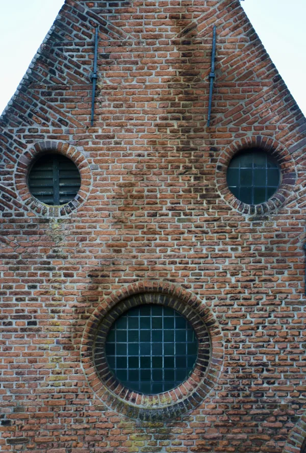 CdM pareidolie
