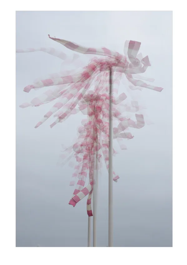 CdM  wind