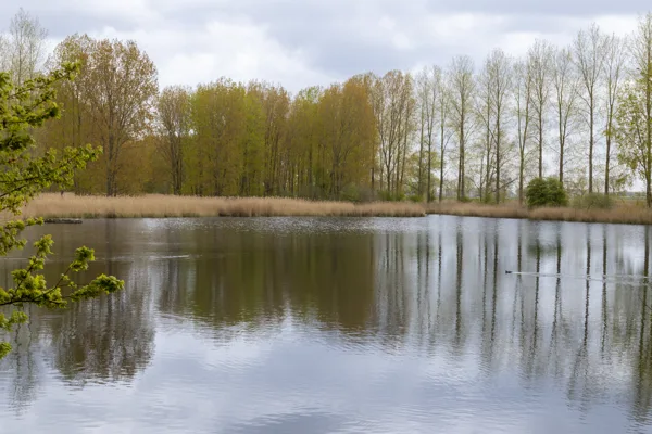 Landschap-2