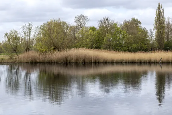 Landschap-1