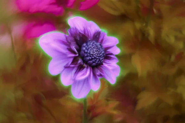_MGL9164.2   Herfst