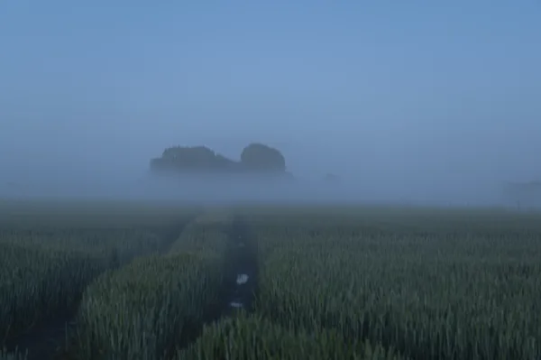 NN landschap 1