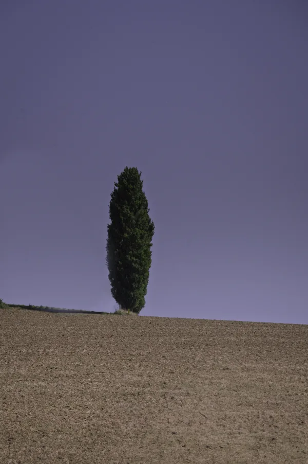 20250809-_Z624592-bewerkt