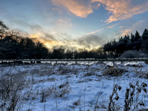 Winter_1130