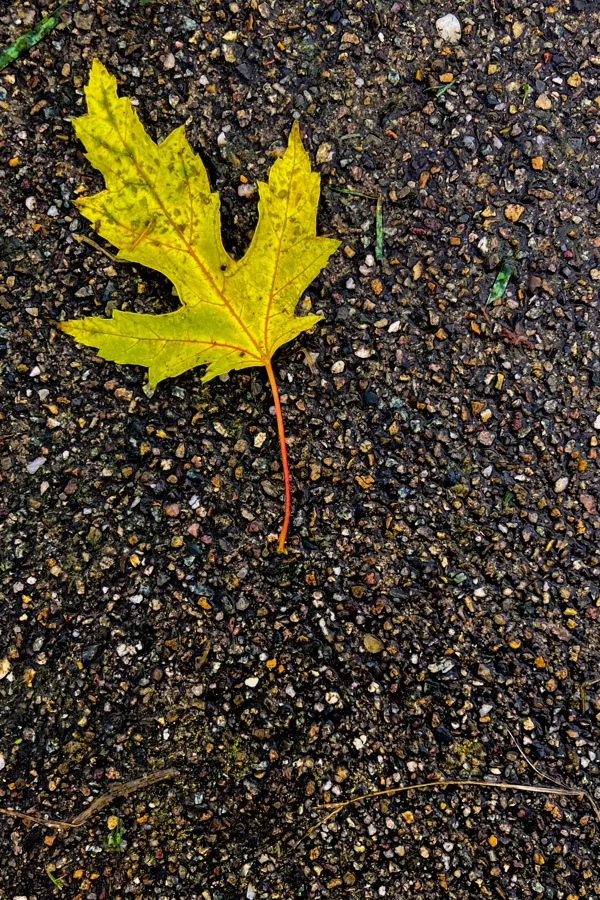 eXpoChallenge 87 - Frank - Leave