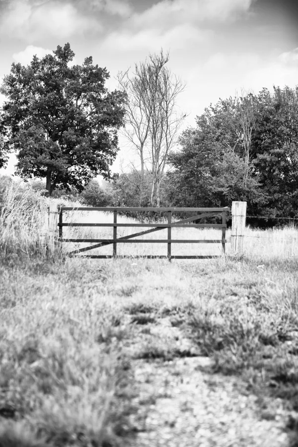 eXpoChallenge 50 - Frank - Road - Dead end