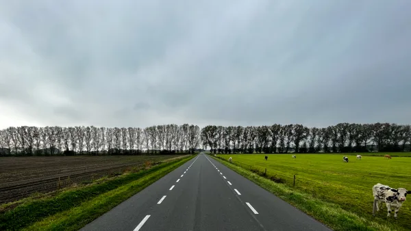 eXpoChallenge 130 - Frank - Symmetry