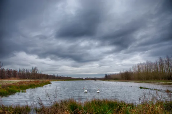 eXpoChallenge 64 - Frank - Waterfowl