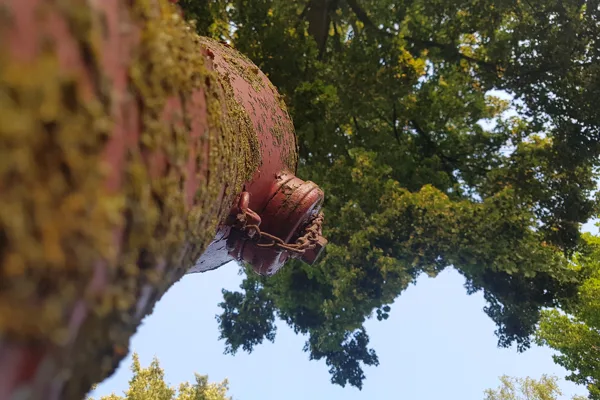 eXpoChallenge 77 - Frank - Heads Up