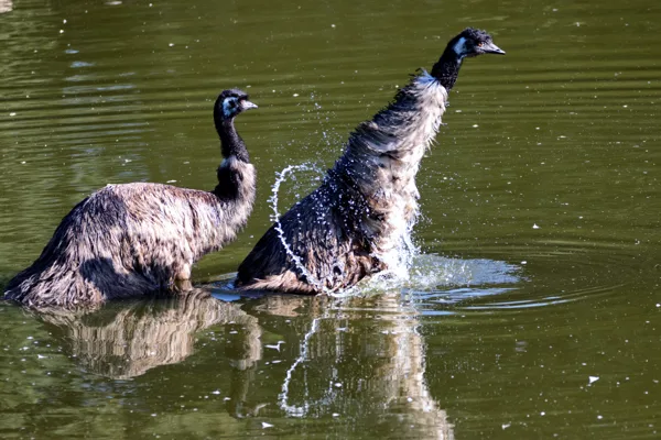 eXpoChallenge 175 (274) - Frank - Schatzoeken in de oude doos