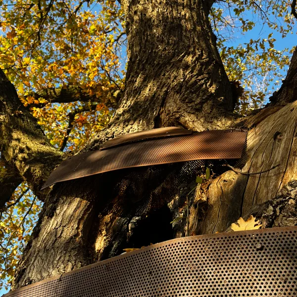 eXpoChallenge 111 Rusty Things - Frank -_