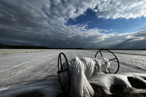 eXpoChallenge 118 Frank