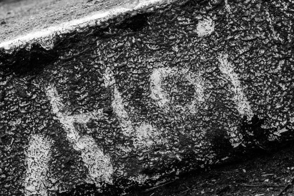 eXpoChallenge 31 - Frank - Tight Crop