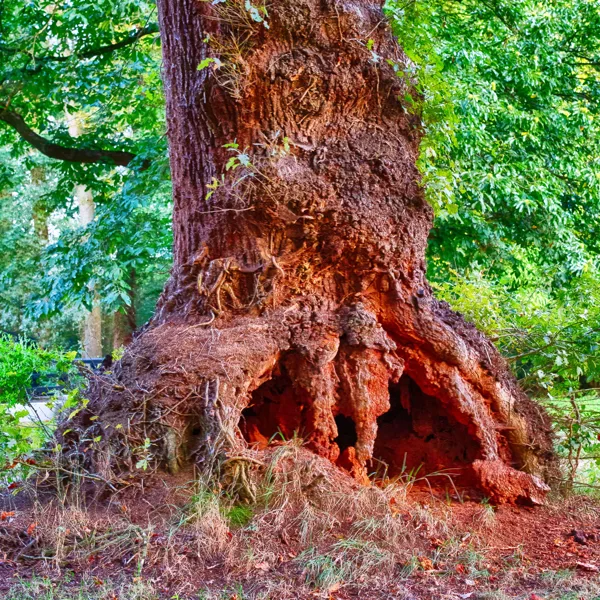 eXpoChallenge 20 - Frank - In or Out