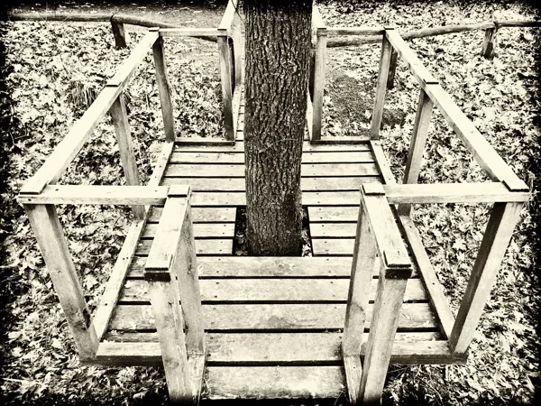 eXpoChallenge 03 - Frank - Made from Wood