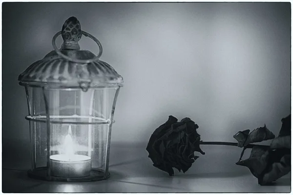 eXpoChallenge 21 - Frank - In your home