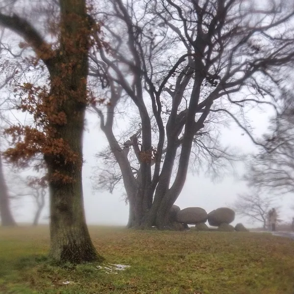 eXpoChallenge 183 - Frank - Rocks