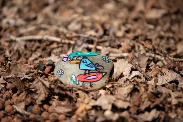 eXpoChallenge 49 - Frank - Complex and Colorful