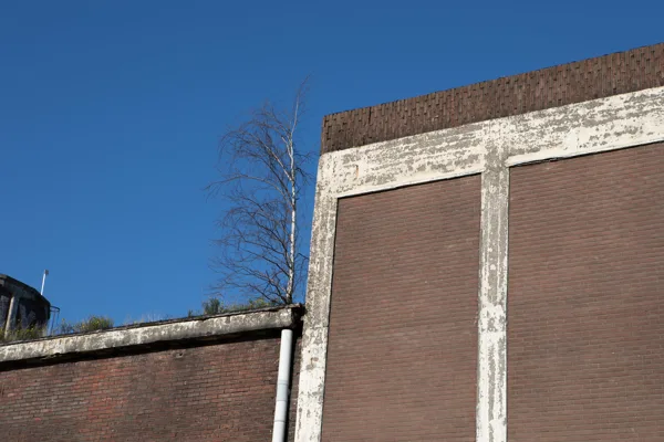 eXpoChallenge 25 - Frank - Base