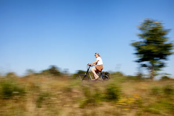 eXpoChallenge 102 - Frank - Bike in Motion