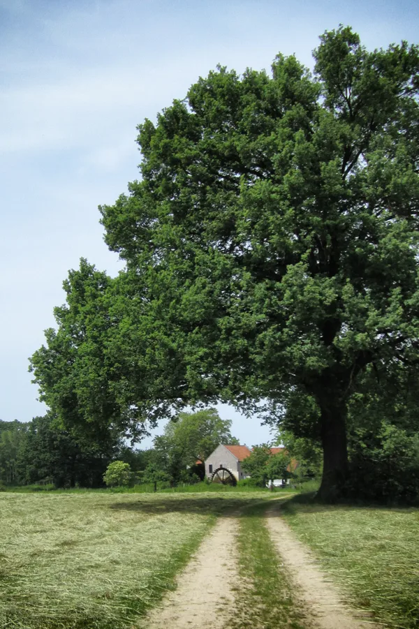 eXpoChallenge 126 - Frank - Frame within a frame