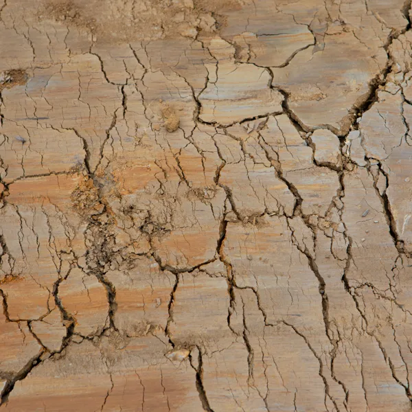 eXpoChallenge 46 - Frank - Maaswerken Zand